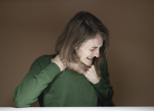 Postoje četiri glavne vrste temperamenta