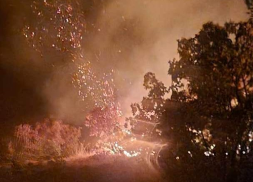 Uhićen je: Podmetnuo požar kod Makarske, počeo bježati čim je vidio policiju