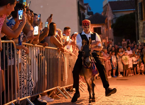 Fotografija 4 - Prijatelji životinja traže ukidanje utrka tovara u Tribunju, Tisnom i drugim mjestima