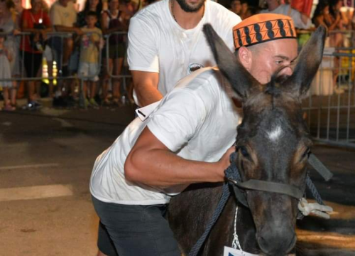 Fotografija 2 - Prijatelji životinja traže ukidanje utrka tovara u Tribunju, Tisnom i drugim mjestima