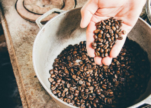 Svi ovo bacamo u smeće, a ne znamo da tamani komarce i mrave