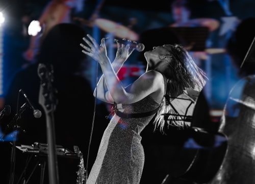 Fotografija 9 - Sandra Halužan Quartet na Baroneu: Od jazz i blues obrada zagorskih skladbi do Nine Simone