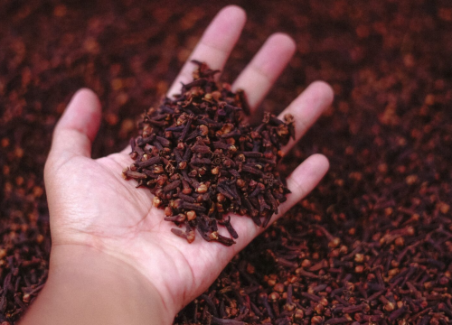 Rasporedite klinčiće po kući i riješit ćete problem koji muči mnoge