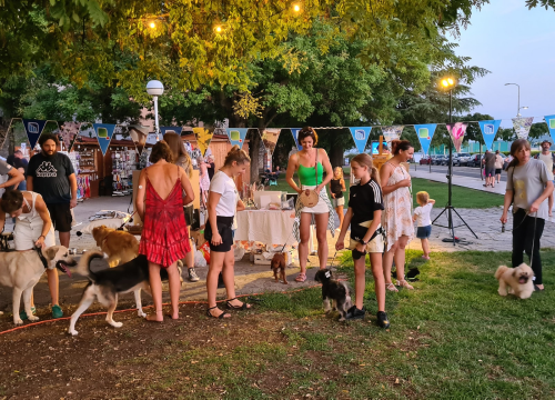 Šibenske šape organiziraju tradicionalni rođendanski party, povedite svog četveronošca