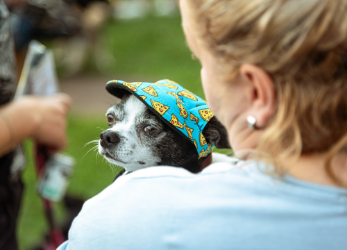 Fotografija 9 - Šibenske šape rođendan proslavile izložbom pasa, tombolom i kvizom