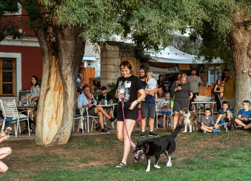 Fotografija 11 - Šibenske šape rođendan proslavile izložbom pasa, tombolom i kvizom