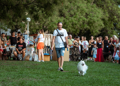Fotografija 16 - Šibenske šape rođendan proslavile izložbom pasa, tombolom i kvizom