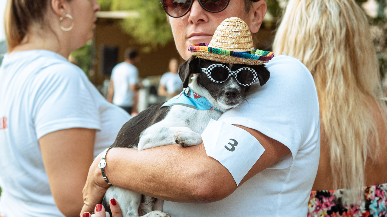 Šibenske šape rođendan proslavile izložbom pasa, tombolom i kvizom