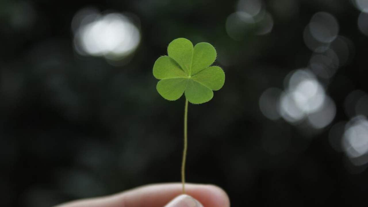 Ako imate ova tri broja u svom datumu rođenja, možete se veseliti rujnu