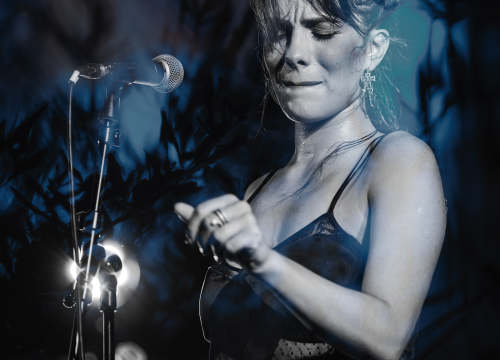 Fotografija 24 - Black Coffee i Ana Uršula Najev na rasprodanom Baroneu: Spoj mladosti i iskustva