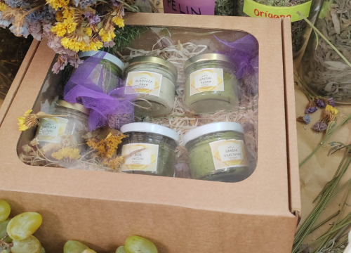 Fotografija 2 - Kninski srednjoškolci u školskom vrtu uzgajaju povrće od kojeg prave namaze