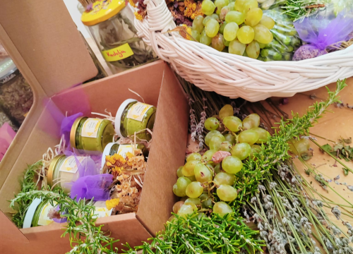 Fotografija 4 - Kninski srednjoškolci u školskom vrtu uzgajaju povrće od kojeg prave namaze