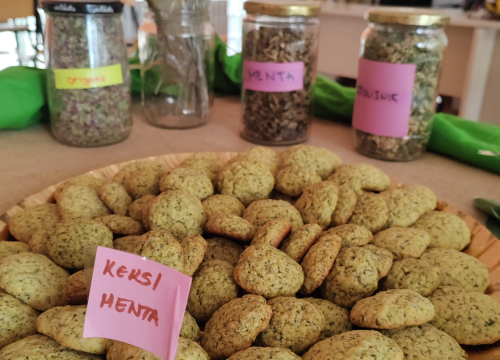 Fotografija 12 - Kninski srednjoškolci u školskom vrtu uzgajaju povrće od kojeg prave namaze