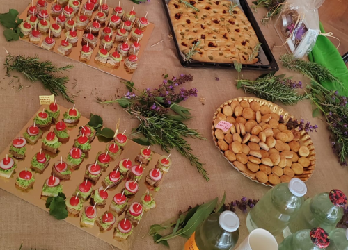 Fotografija 13 - Kninski srednjoškolci u školskom vrtu uzgajaju povrće od kojeg prave namaze