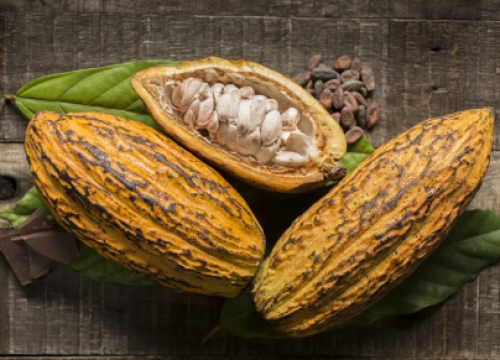 Švicarski znanstvenici potiču proizvodnju drugačije čokolade