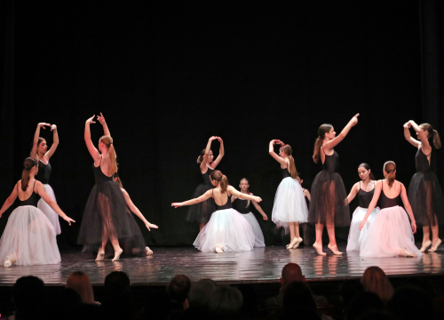 Prijavite djecu na audiciju šibenske Osnovne škole za balet i suvremeni ples