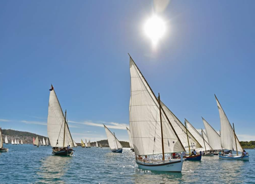Fotografija 4 - Ove nedjelje na otvorenju 27. Dana Latinskog idra očekuje vas nastup grupe Dalmatino