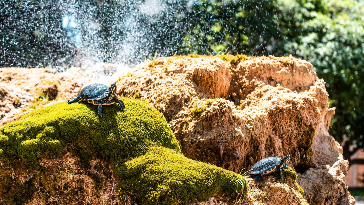 Iza nas je najtoplije ljeto na sjevernoj hemisferi: Ekstremni događaji bit će sve intenzivniji