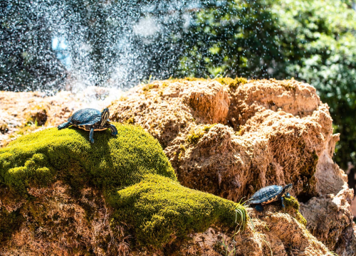 Iza nas je najtoplije ljeto na sjevernoj hemisferi: Ekstremni događaji bit će sve intenzivniji
