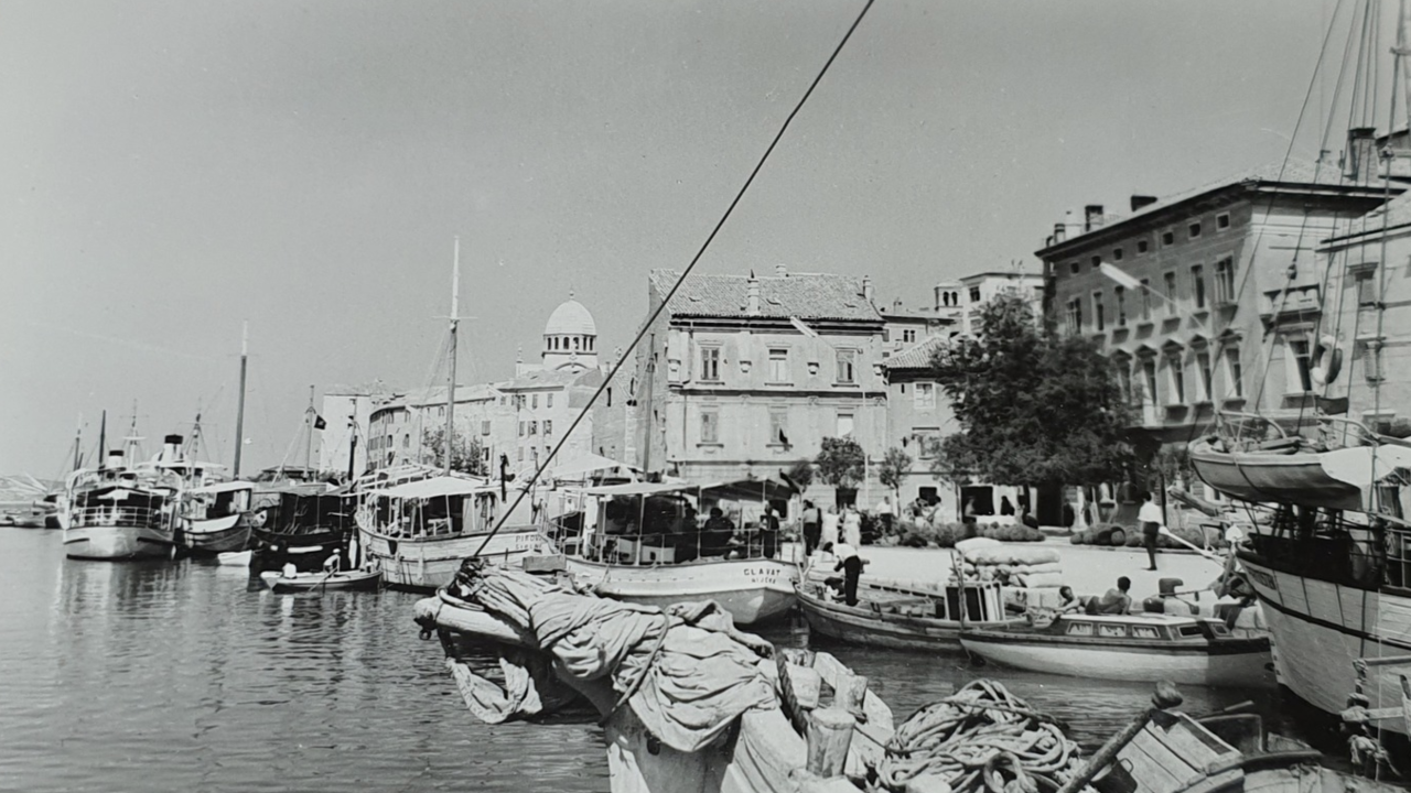 Šibenski leksikon: U onoj Miki-maji ga ne bi takla ni moketon