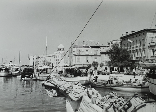 Šibenski leksikon: U onoj Miki-maji ga ne bi takla ni moketon