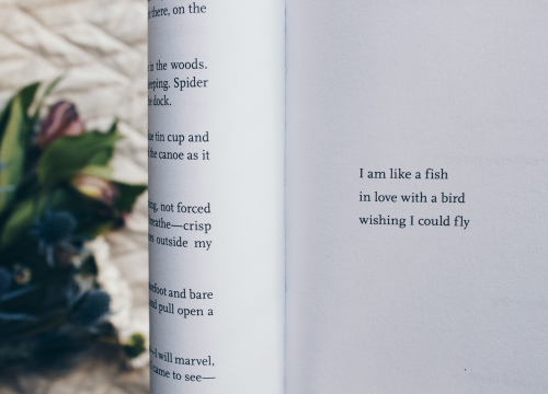 Gradska knjižnica Juraj Šižgorić raspisuje natječaj za najbolju haiku pjesmu, donosimo detalje prijave