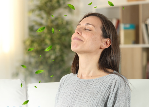 Fotografija 3 - Vodič za poboljšanu kvalitetu zraka u zatvorenom prostoru
