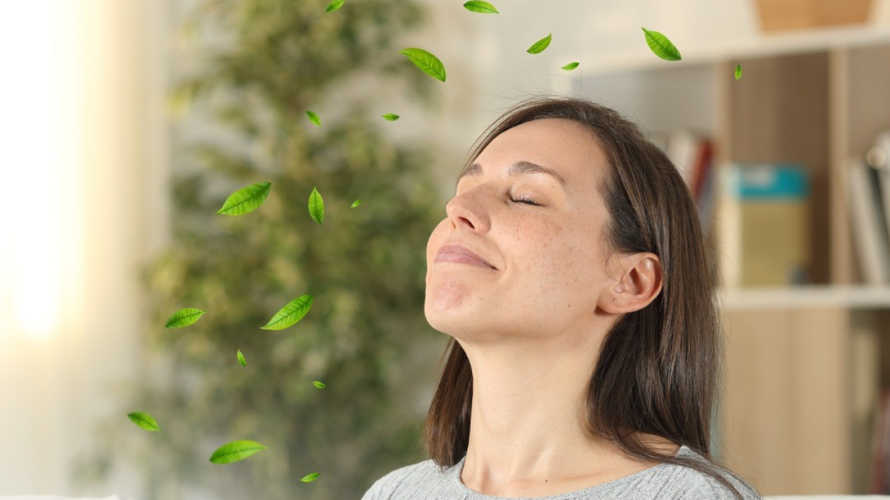 Vodič za poboljšanu kvalitetu zraka u zatvorenom prostoru