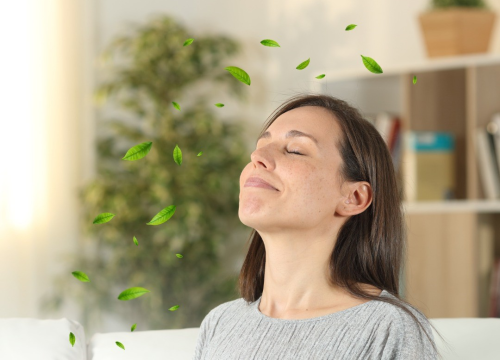 Vodič za poboljšanu kvalitetu zraka u zatvorenom prostoru