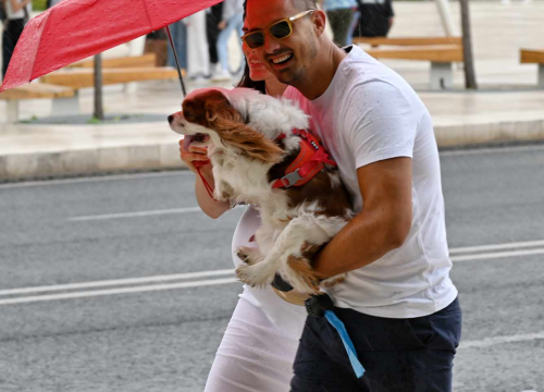 Fotografija 6 - Lijepi Šibenčani i gosti znaju kako dobro izgledati i po promjenjivom vremenu