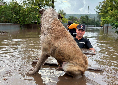 Šest mrtvih, naselja pod vodom, deseci tisuća evakuiranih u poplavama diljem Europe