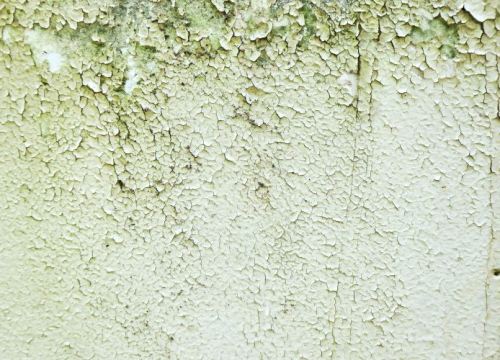 Trik u kojeg se Nijemci kunu, a s pomoću kojeg ćete sačuvati dom od vlage i plijesni