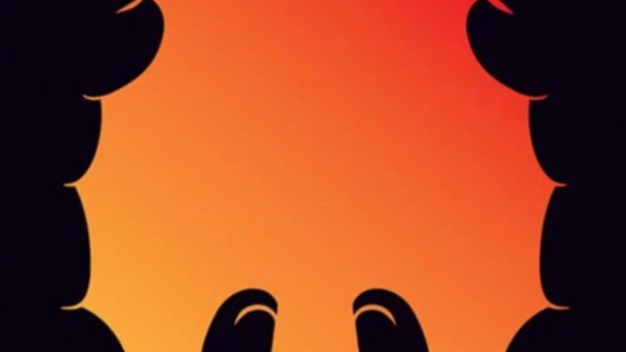 Što ste prvo vidjeli? Optička iluzija otkriva vaše važne skrivene osobine