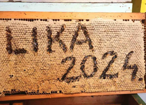 Fotografija 2 - Krešimir je inženjer, ali i pčelar kojemu je hobi postao posao: 'U ovome ne smije biti matematičke računice'