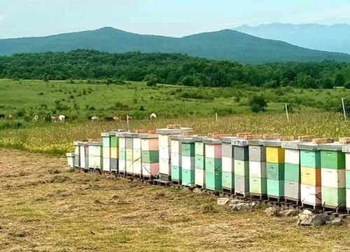 Fotografija 6 - Krešimir je inženjer, ali i pčelar kojemu je hobi postao posao: 'U ovome ne smije biti matematičke računice'