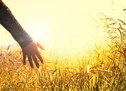 Švicarska napredna zemlja? Kapsula 'Sarco' korištena prvi put za potpomognuto samoubojstvo