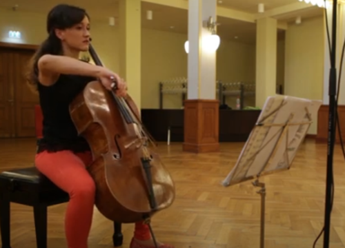 Večeras poslušajte koncert Pačko-Detoni dua u Muzeju grada Šibenika