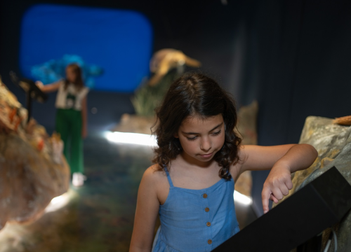 Fotografija 4 - Dan otvorenih vrata EU projekata i otvorena vrata Posjetiteljskog centra u Kanalu sv. Ante