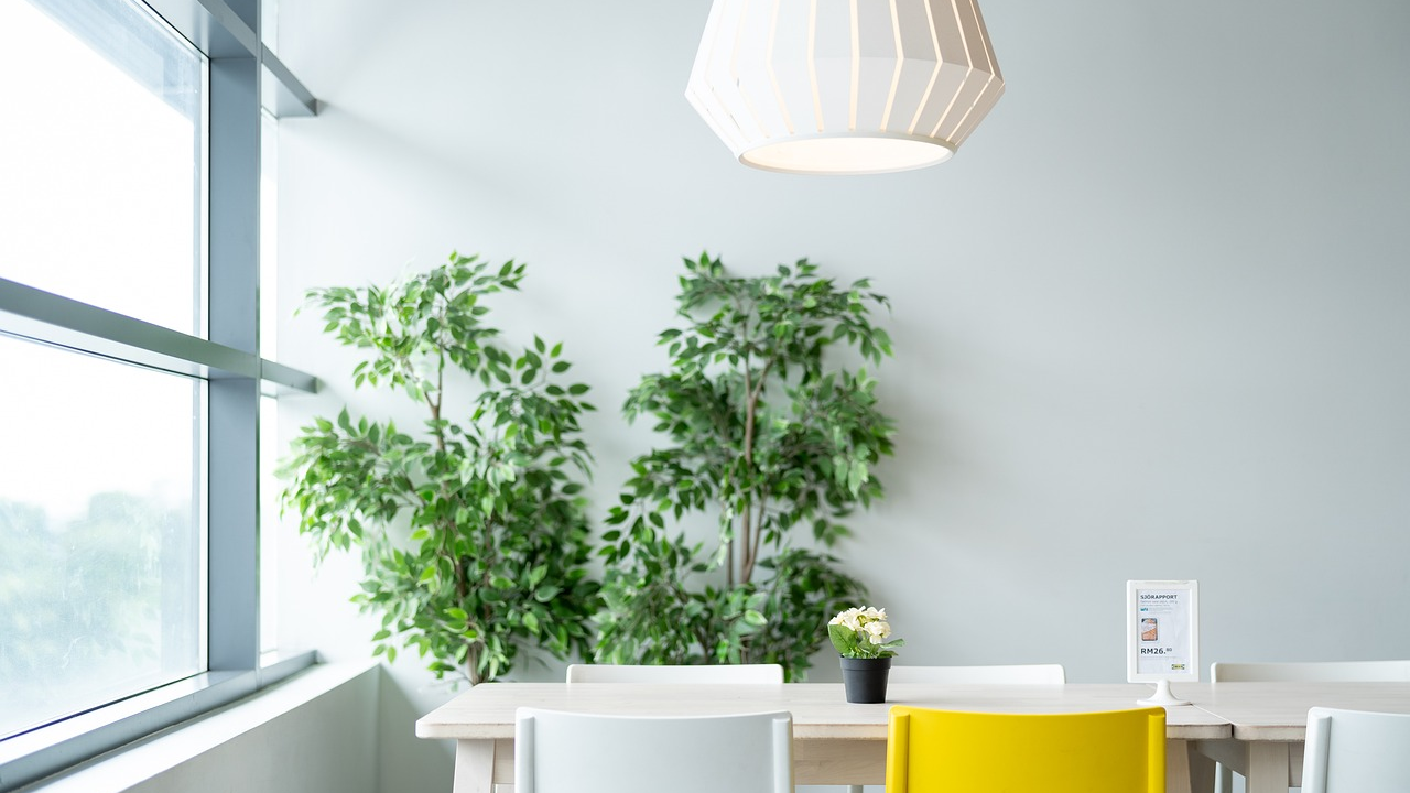 Ove biljke nemojte držati u stanu ako patite od alergija