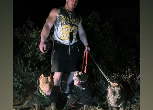 Fotografija 20 - Boksač Stipe Verović pred prvom profesionalnom borbom: 'Uvijek možemo biti bolja verzija sebe'