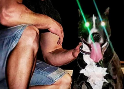 Fotografija 31 - Boksač Stipe Verović pred prvom profesionalnom borbom: 'Uvijek možemo biti bolja verzija sebe'