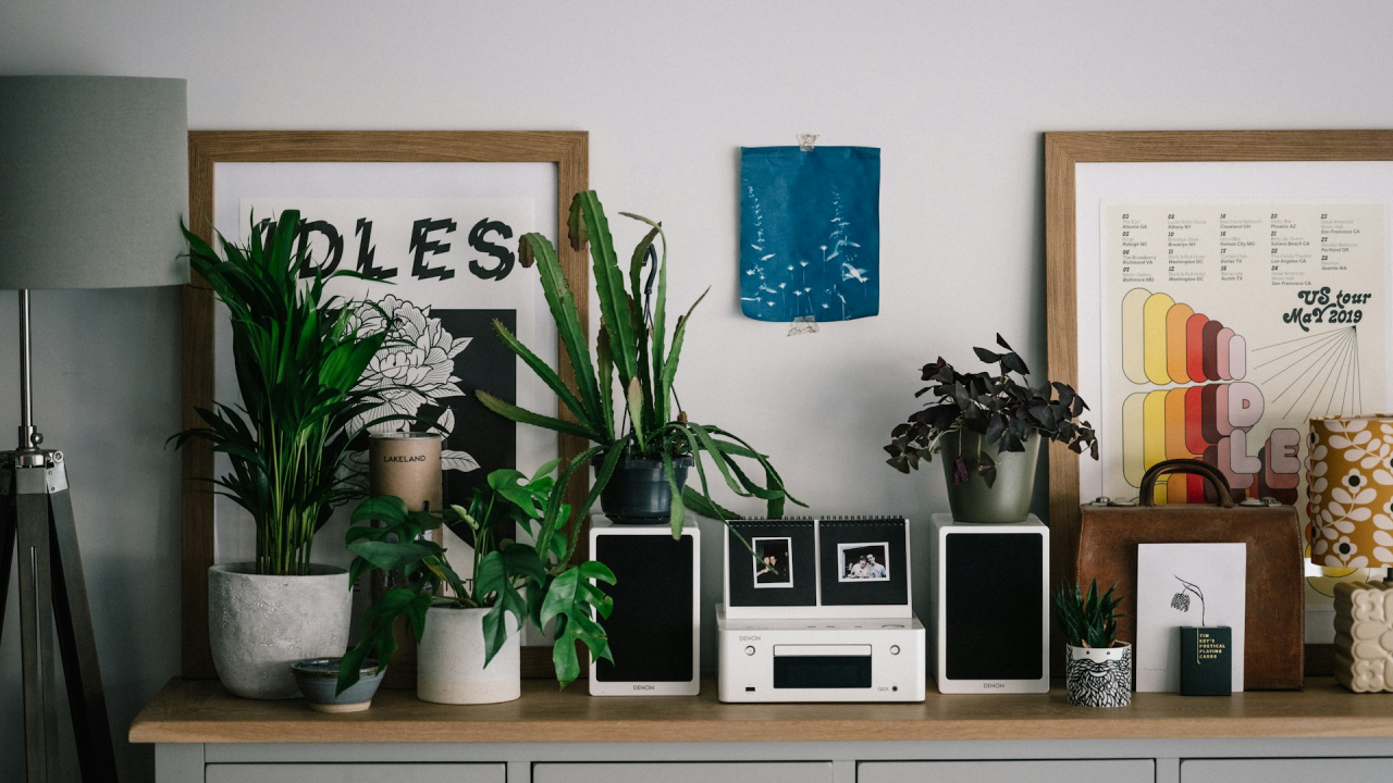 Puštate li glazbu svojim biljkama? Izgleda da potiče rast jer gljivice reagiraju na zvučne valove