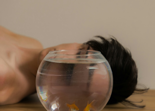 Djevice obnavljaju odnose s partnerom, Škorpioni privlače pažnju