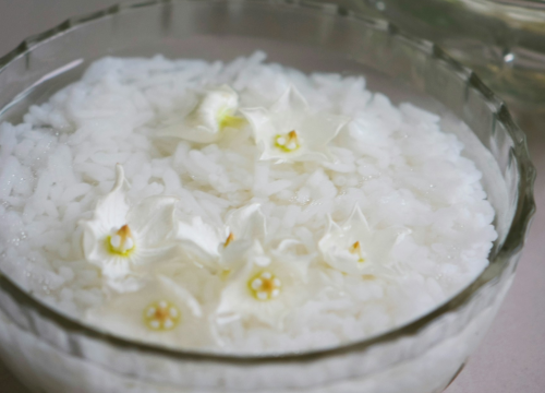 Evo kako napraviti rižinu vodu za kosu: Za snažnije vlasi i sjaj