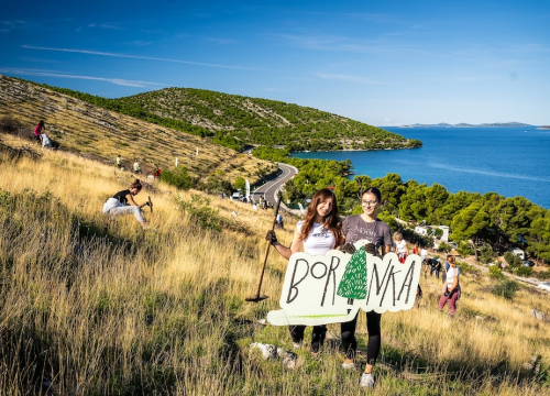 Fotografija 3 - Stotine volontera pošumljavalo požarište u Grebaštici