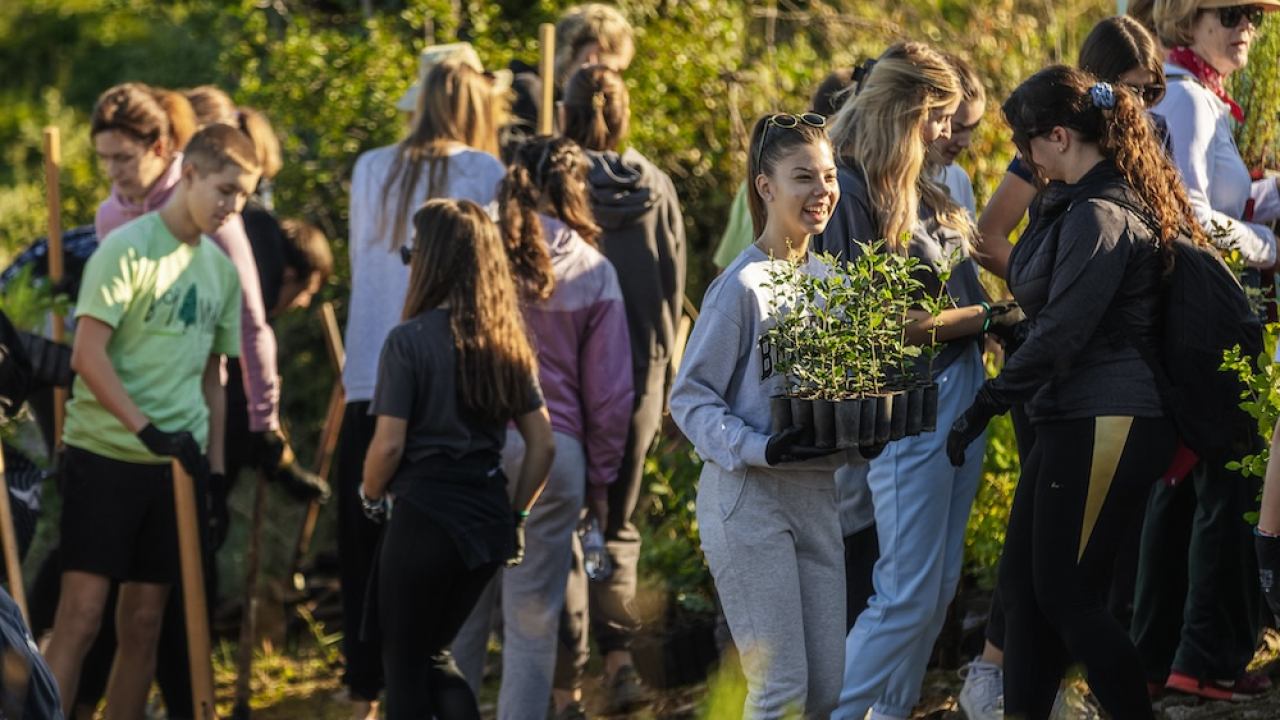 Stotine volontera pošumljavalo požarište u Grebaštici