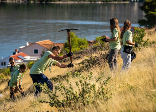Fotografija 4 - Stotine volontera pošumljavalo požarište u Grebaštici
