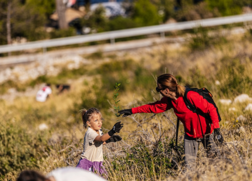 Fotografija 8 - Stotine volontera pošumljavalo požarište u Grebaštici