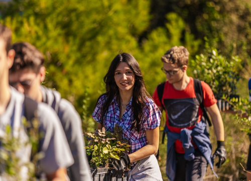 Fotografija 9 - Stotine volontera pošumljavalo požarište u Grebaštici