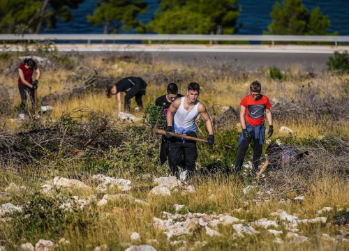 Fotografija 2 - Stotine volontera pošumljavalo požarište u Grebaštici